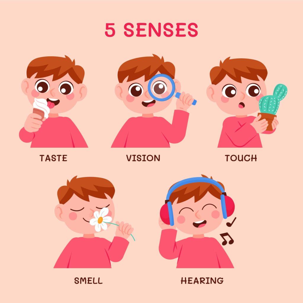 cinco sentidos en inglés